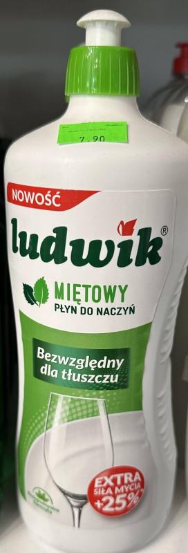 LUDWIK miętowy